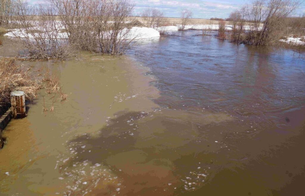 Overland flooding and tree removal