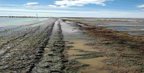 Road washout 