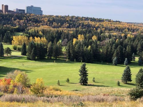 Managed Urban forest