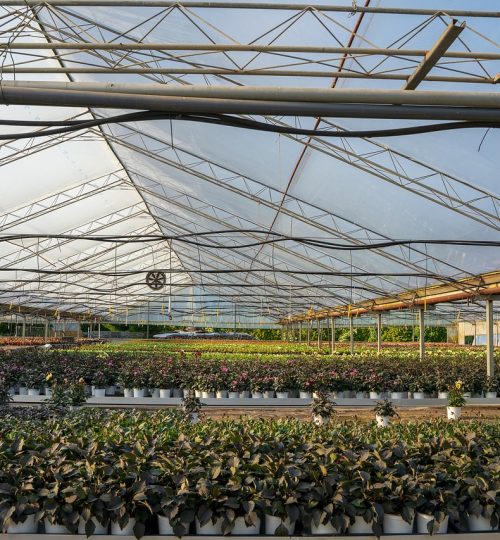 Greenhouse operation
